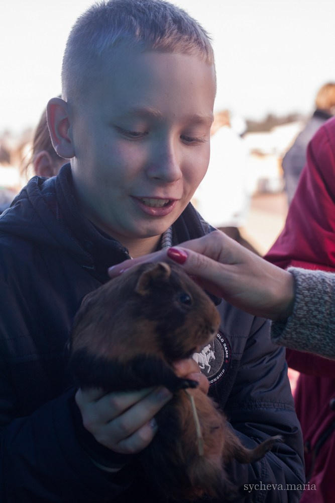 Ярмарка талантов. Детский и семейный фотограф, фотограф мероприятий Нижний Новгород