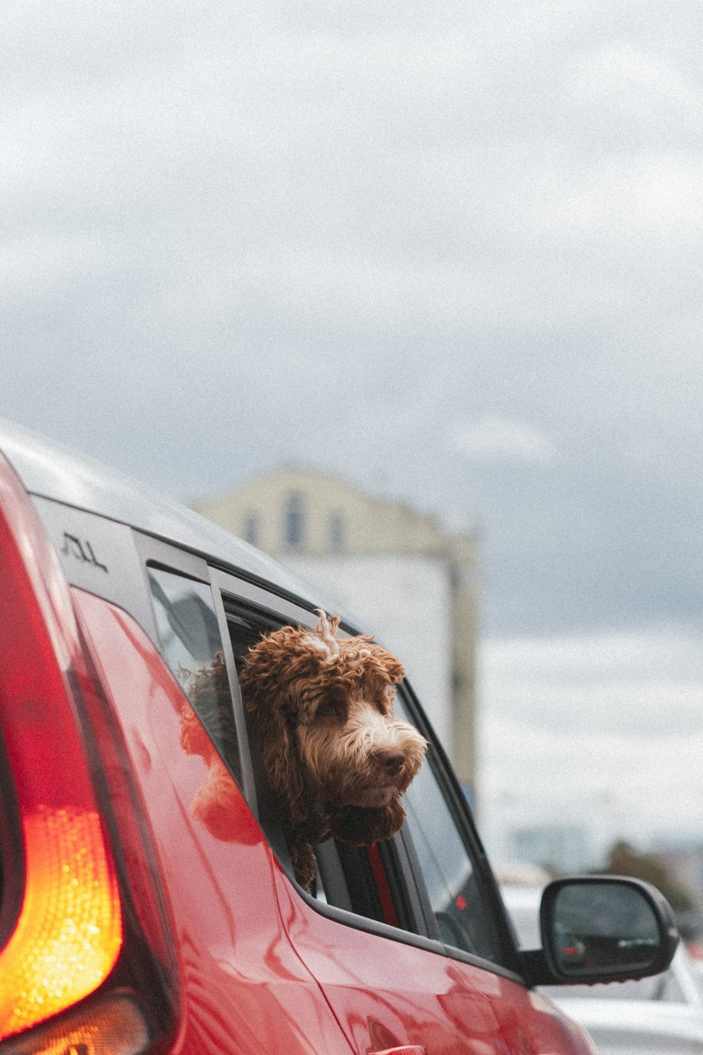 Диана и Глеб. Свадебный фотограф в Москве — Оскар Гелманов