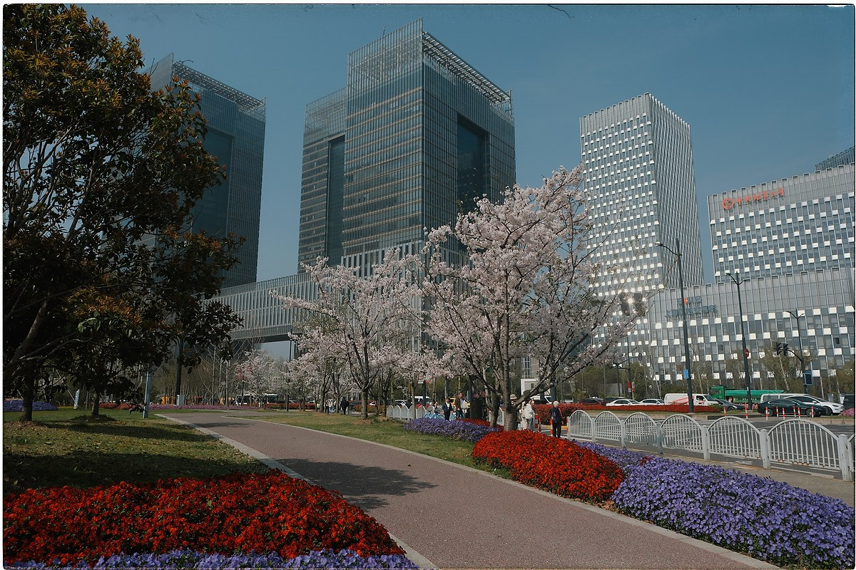 Китай. Портретный и репортажный фотограф в Санкт-Петербурге Дарья Сибирякова