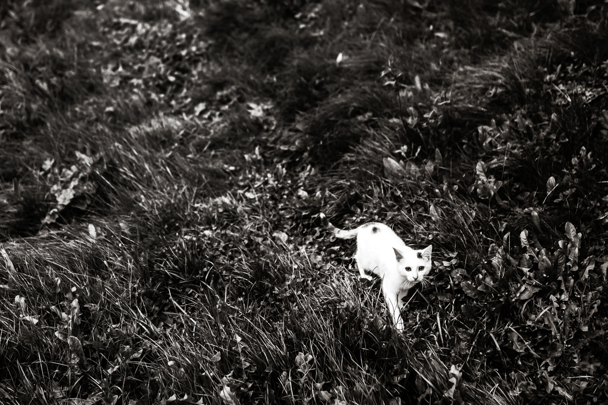 PrePartyMyWed2016 отель"Свежий ветер". Свадебные фотосессии в Москве. Фотограф Сергей Ржевский