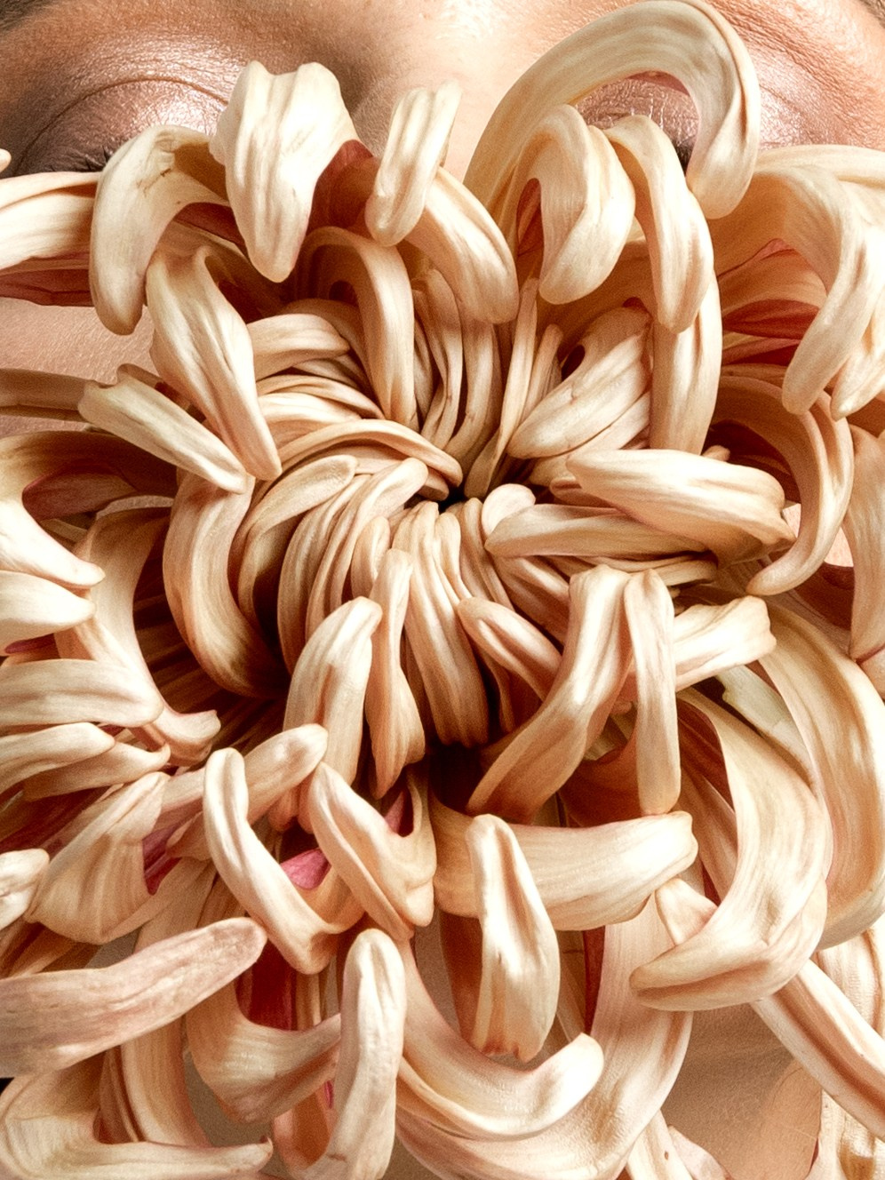 Ксения. Фотограф Анапа, Новороссийск, Краснодар