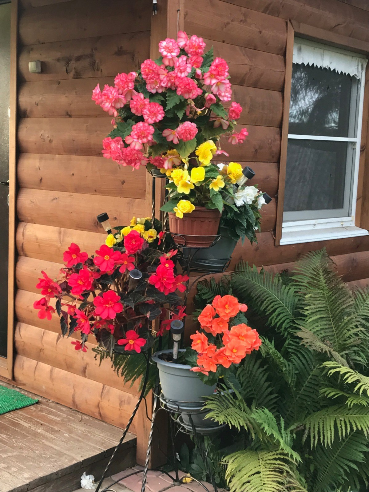 Территория экофермы Марии Гиппенрейтер. Эко отель Подмосковье. Эко отдых в Подмосковье в эко-отеле Марии Гиппенрейтер