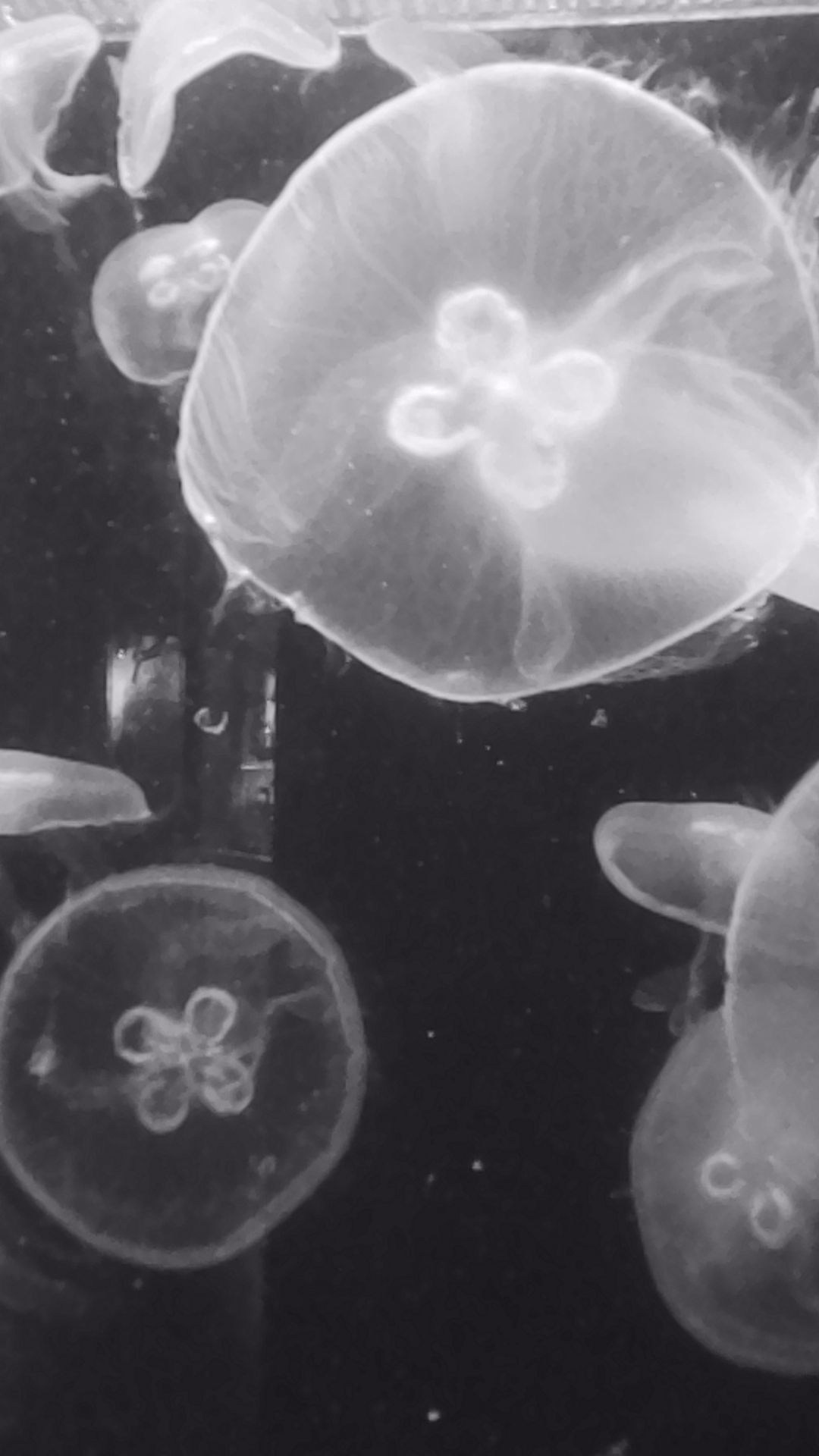 «Крошка 🐣». Anita_photo