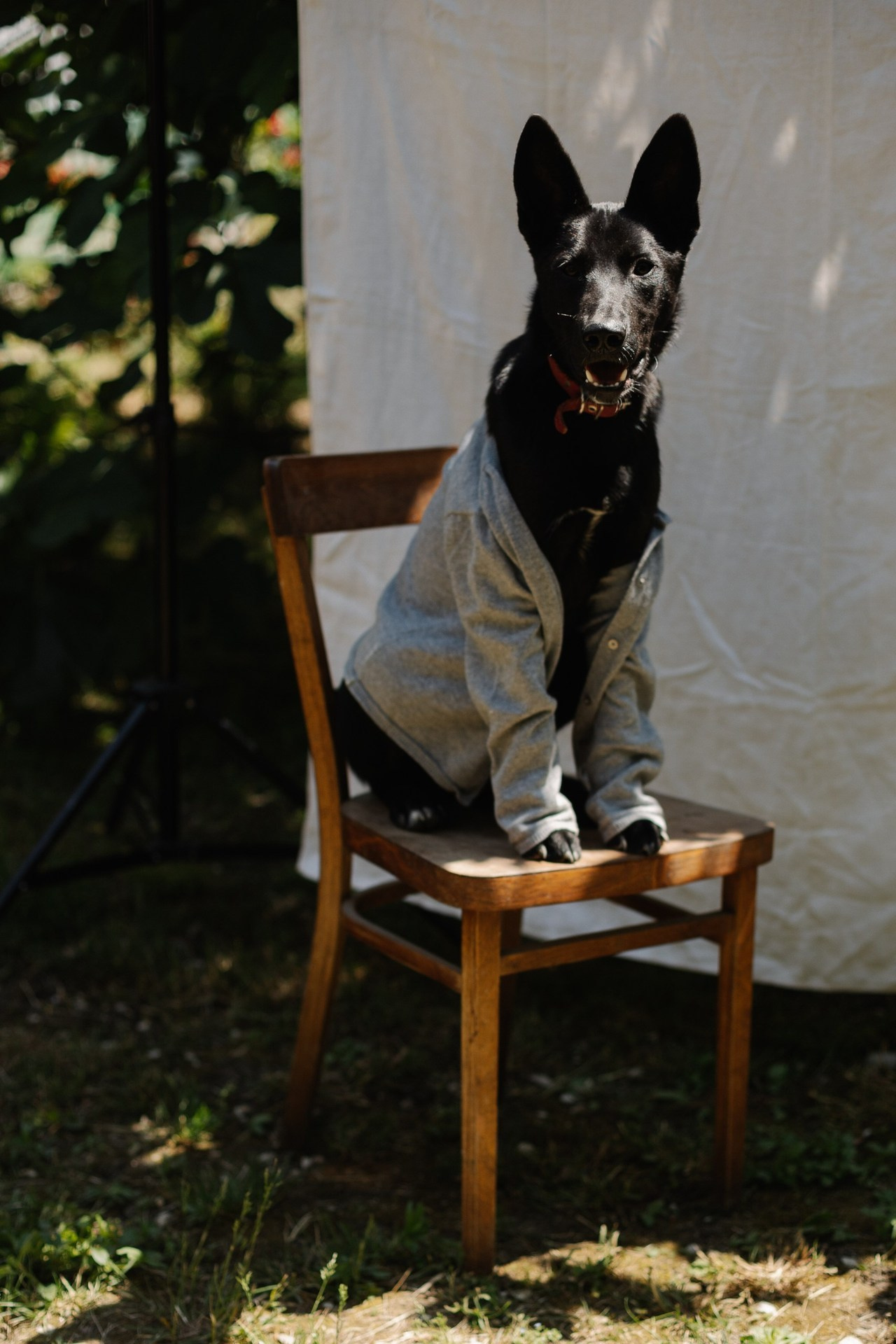Отзывы. Фотограф новорожденных и семей Туапсе Краснодарский край Анна Альтман