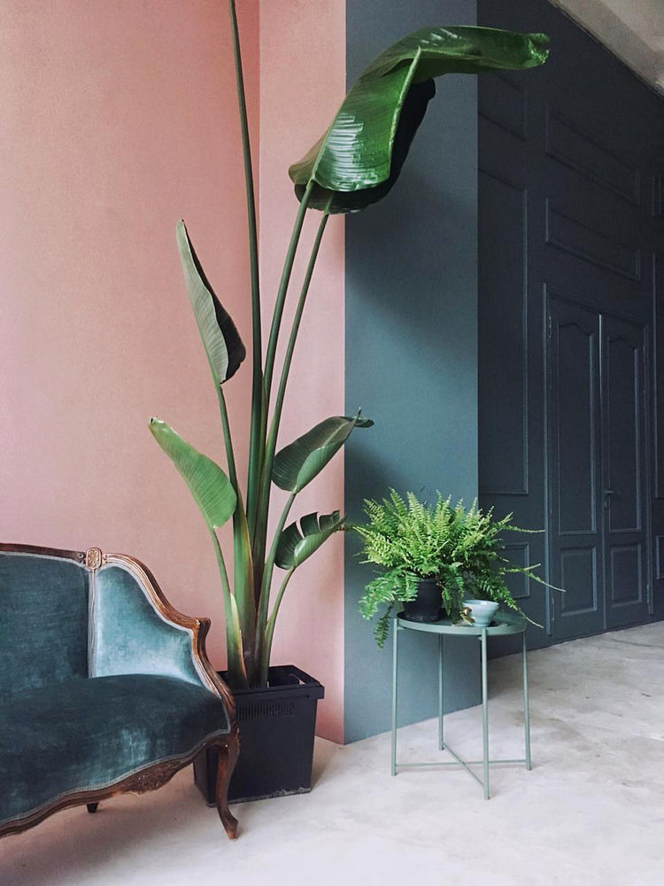 Фотостудии для свадебной фотосессии в Москве