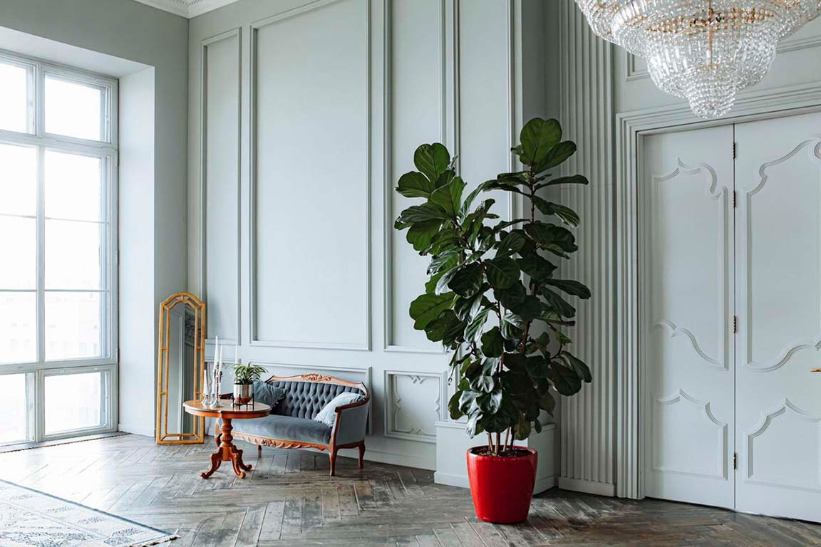 Фотостудии для свадебной фотосессии в Москве