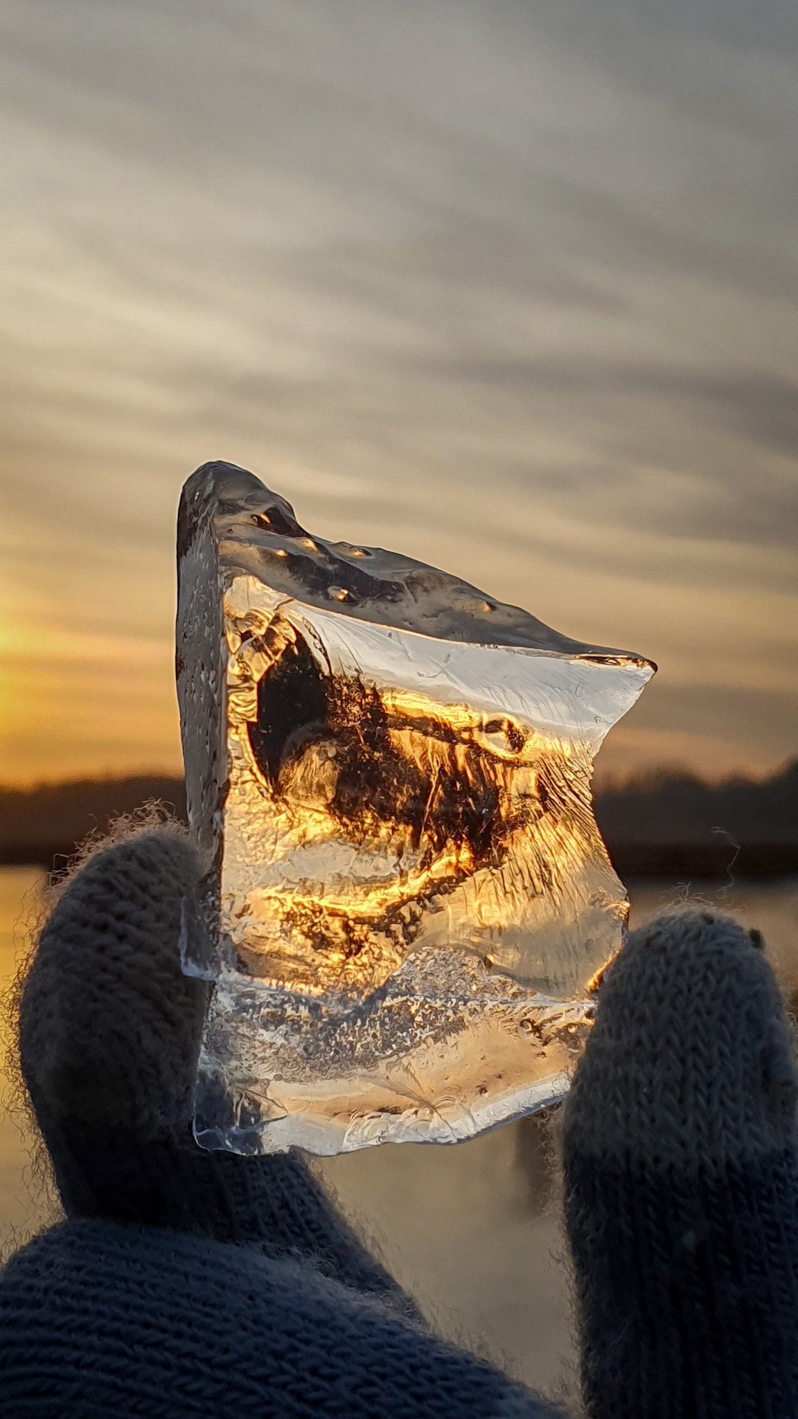Nature. Андрей Пиотровский. Фотограф