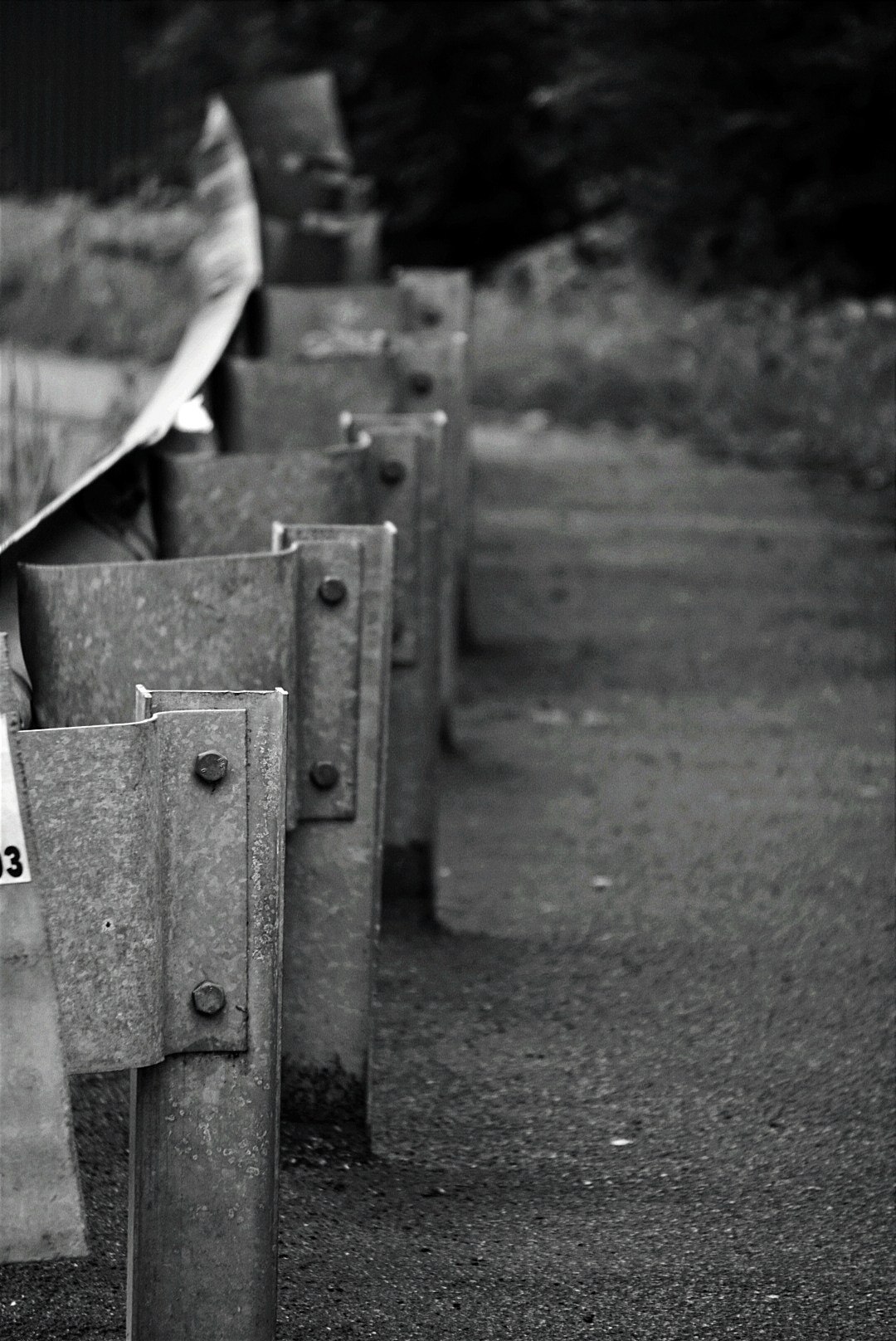Чёрно-белая оптика: жизнь в разных измерениях. Фотограф в Санкт-Петербурге, Григорьева Светлана: от портрета до предметной съёмки