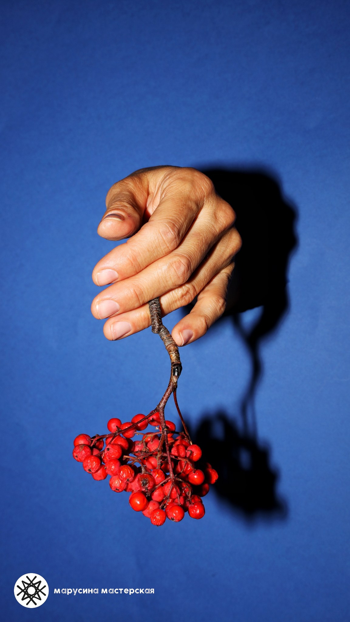 Лилия Ибрагимова