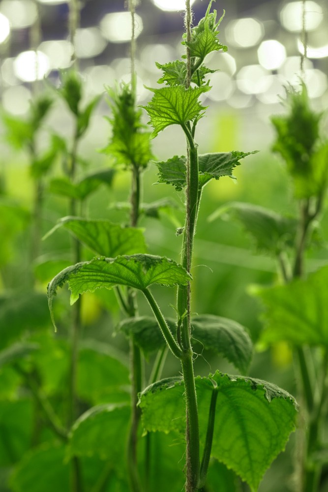 Промышленная рекламная индустриальная фотосъемка  - Портфолио фотографа. Промышленный фотограф | Бизнес-фотосессии | Казань и РФ