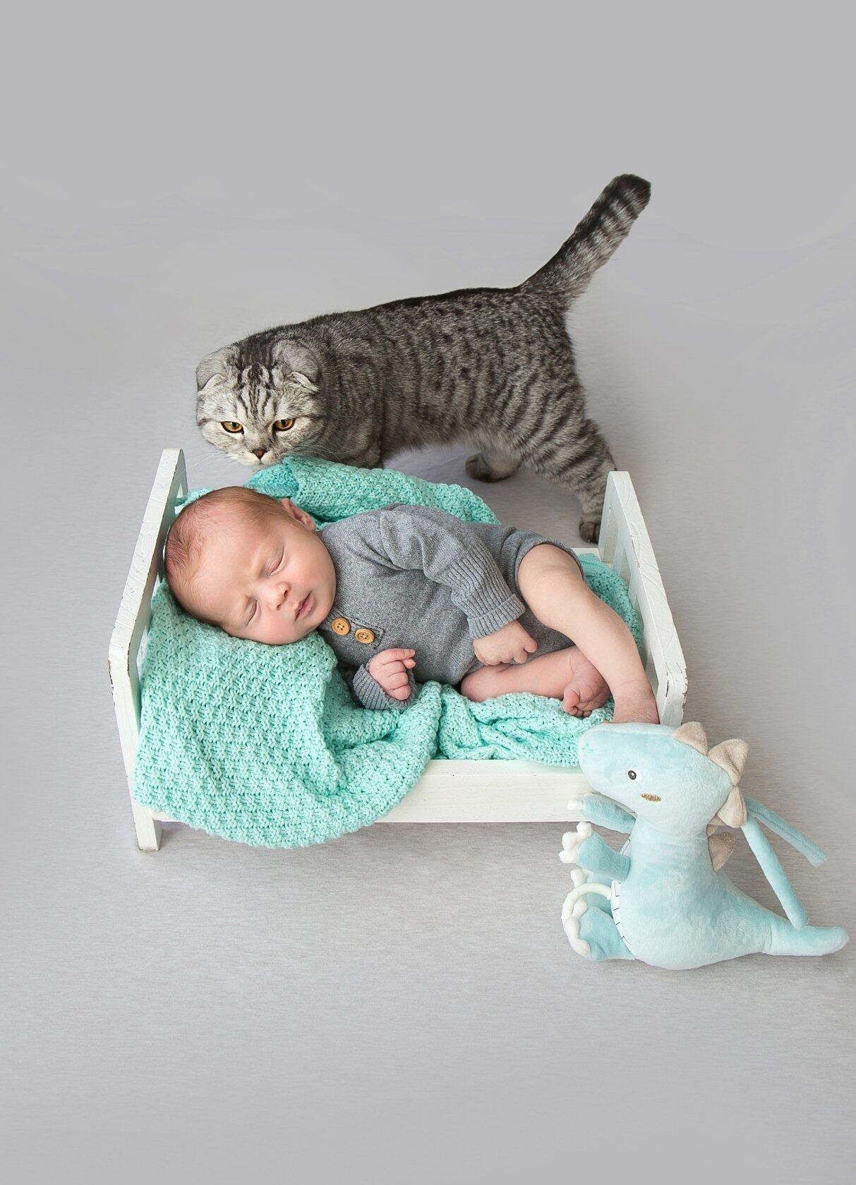 Новорожденные малыши. Фотостудия, фотограф новорожденных в Брюховецком районе Татьяна Кауц. Многолетний опыт работы с новорожденными и молодыми семьями