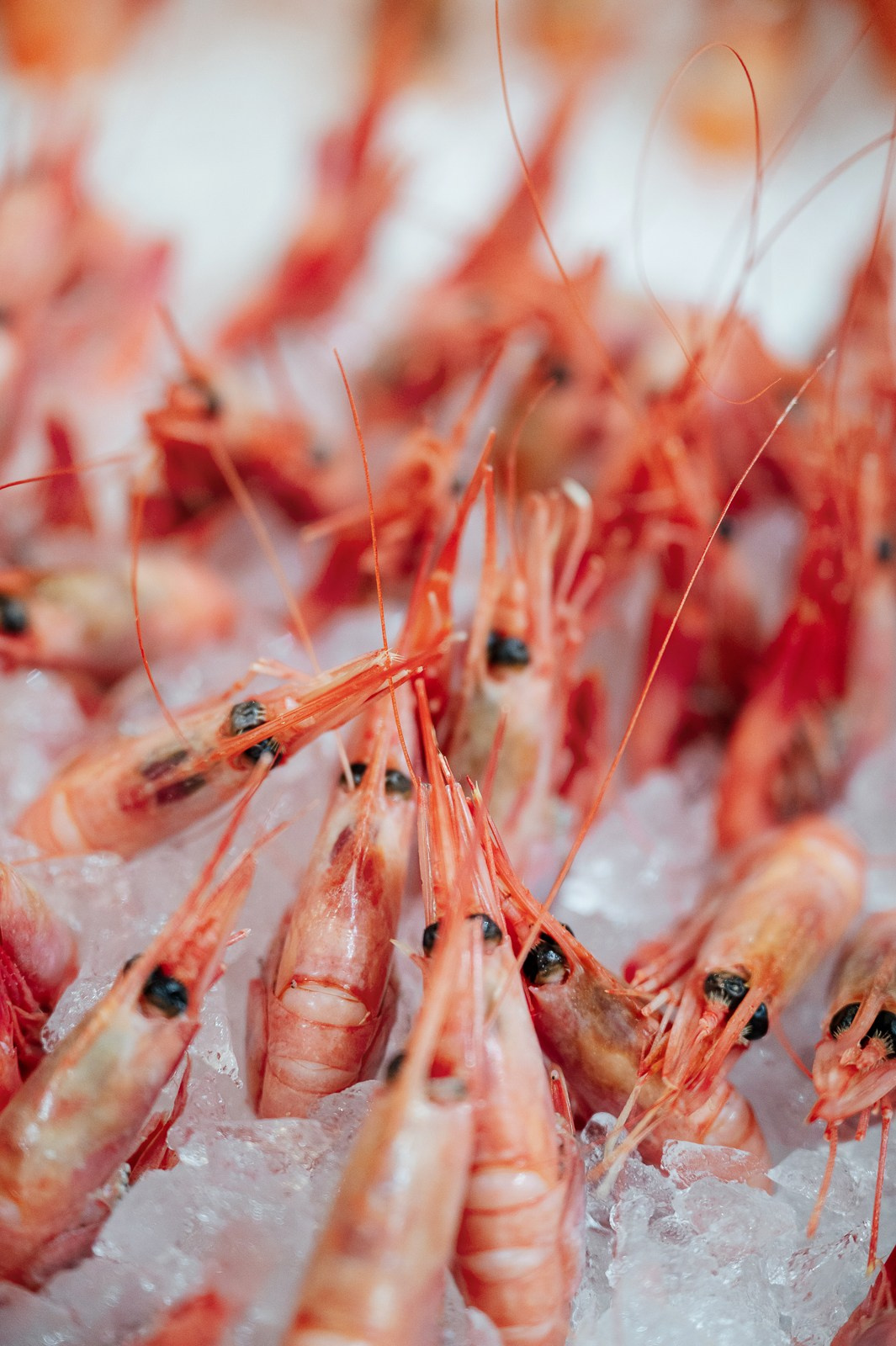 Рыбный форум. Фотограф Дмитрий Сермяжко