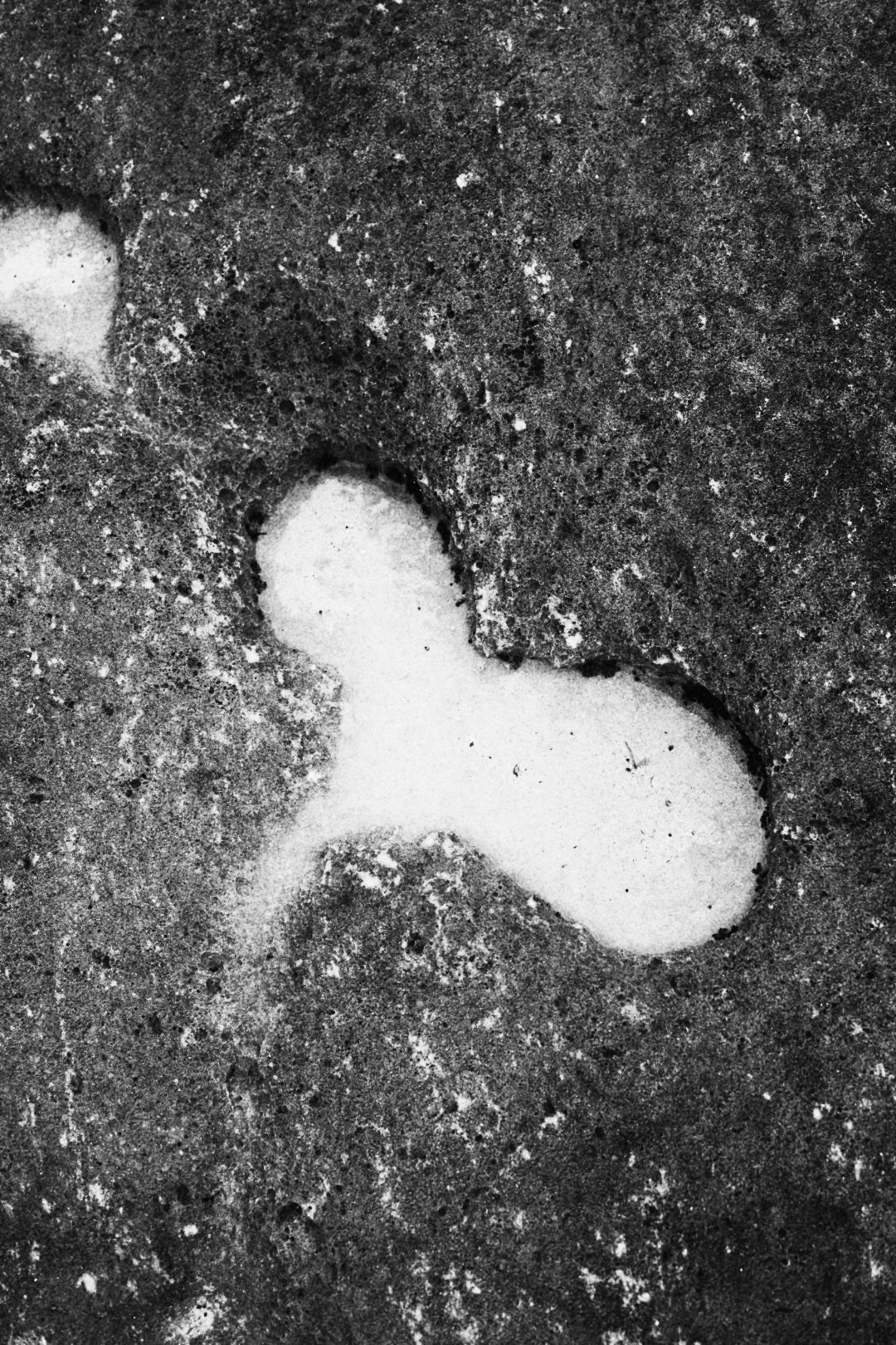 Alexander & Anastasia. Bali. Портретный фотограф на Бали. Фотосессии на Бали