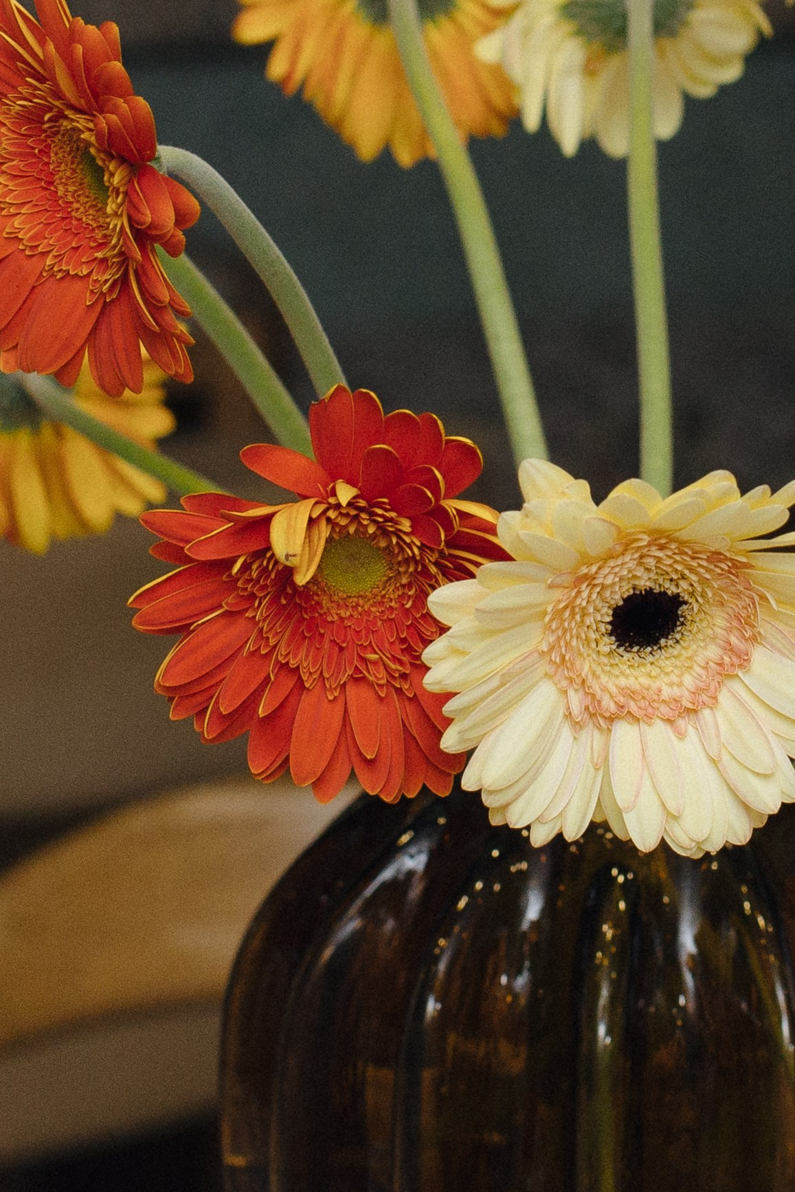 «Sentori» (презентация меню). Свадебные фотографы в г. Сургут Маркова Наталья и Замахина Елена