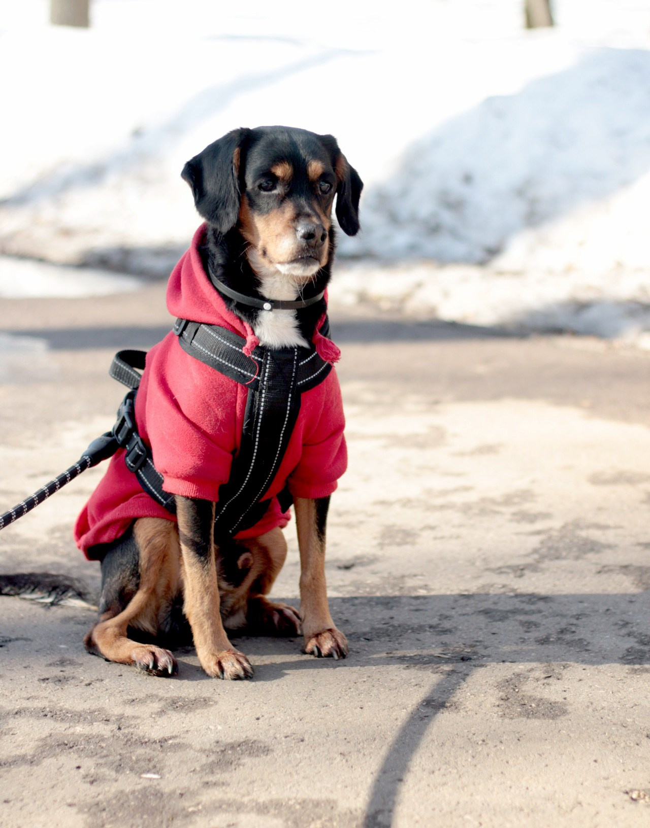 Маша и Кекс. Катя Попова|ЛайфСтайл фотограф