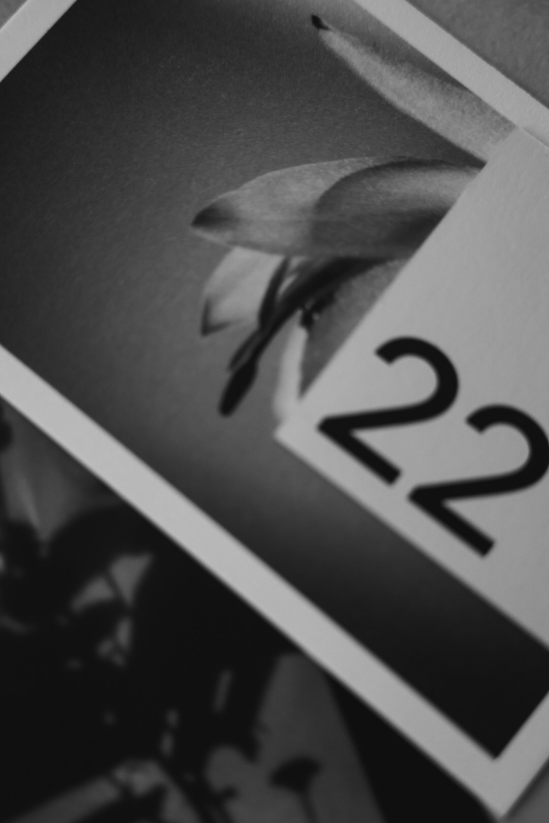 22 zima. Фотограф Нижний Новгород