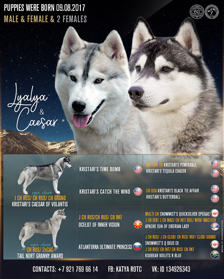 Презентация помета 