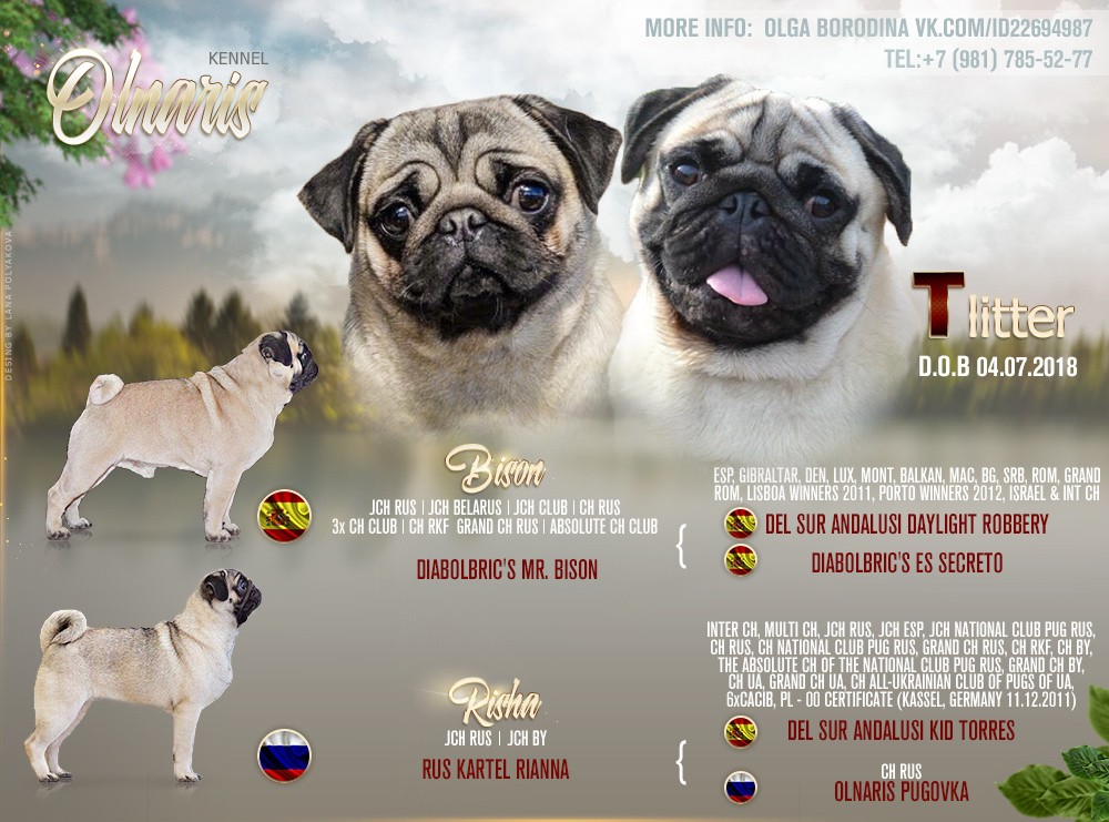 Презентация помета 