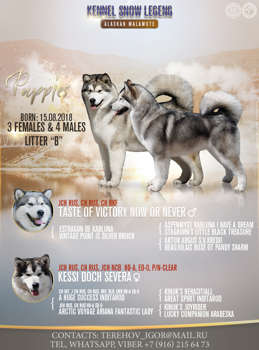 Презентация помета 