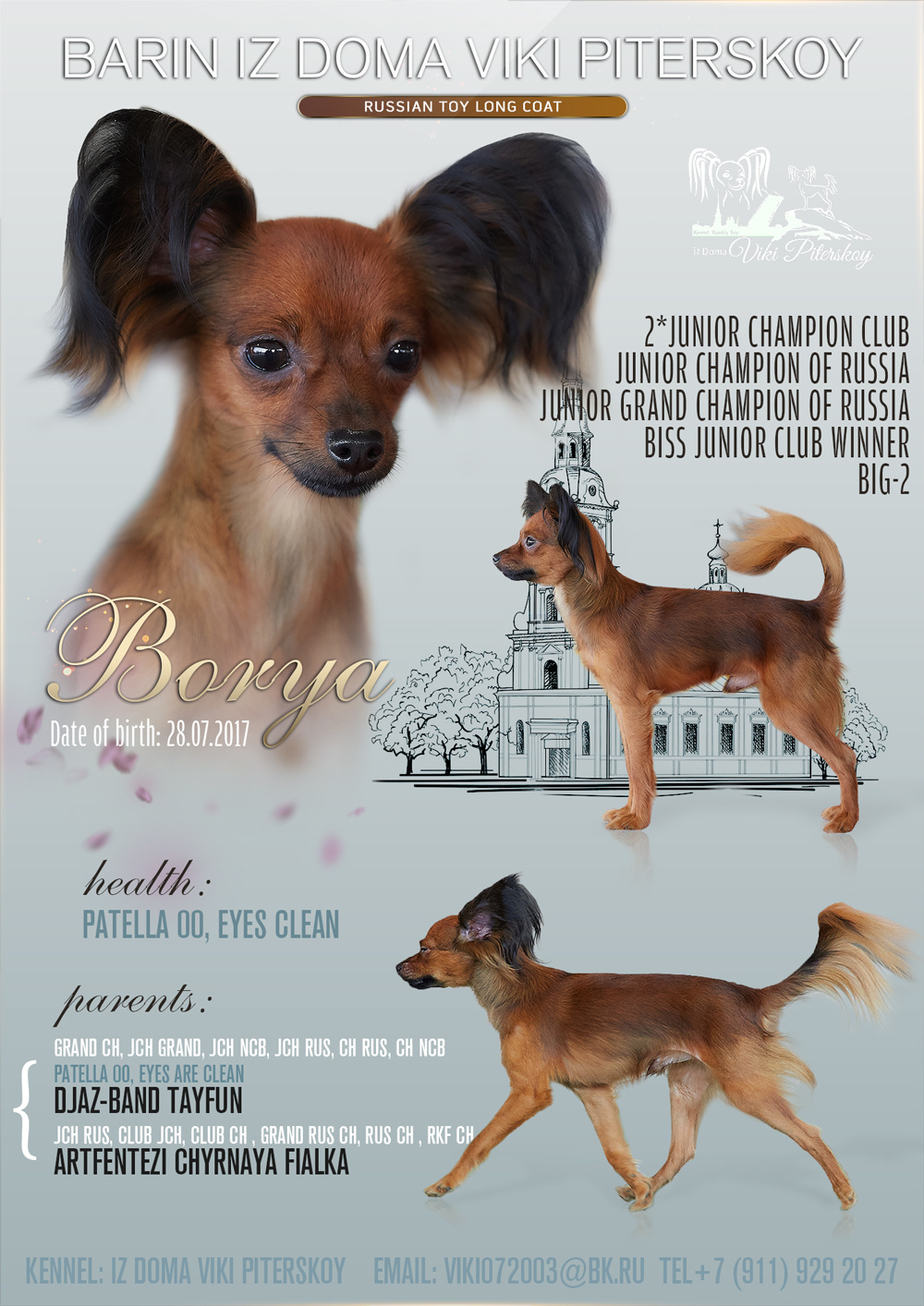 Презентация кобеля на вязки