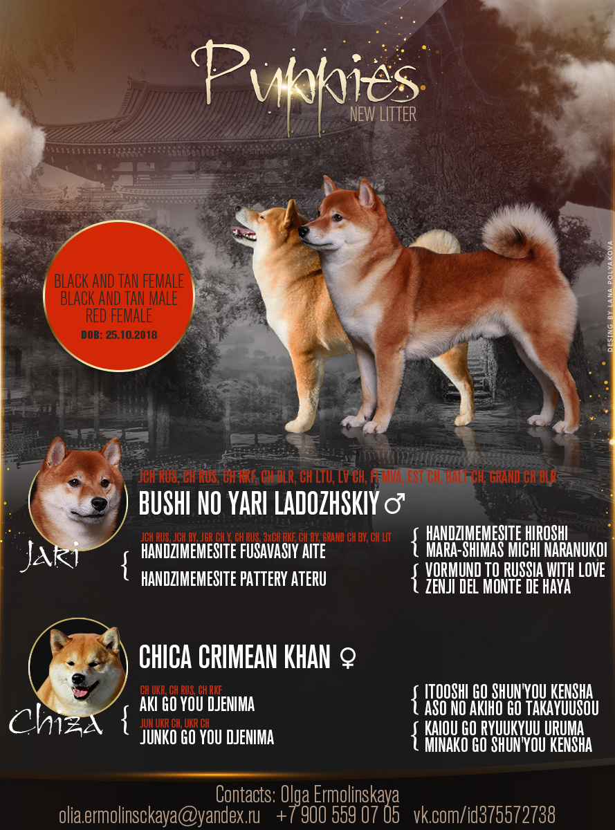 Презентация помета сиба