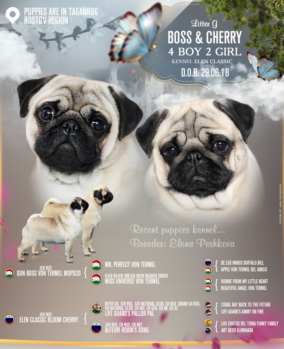 Презентация помета 