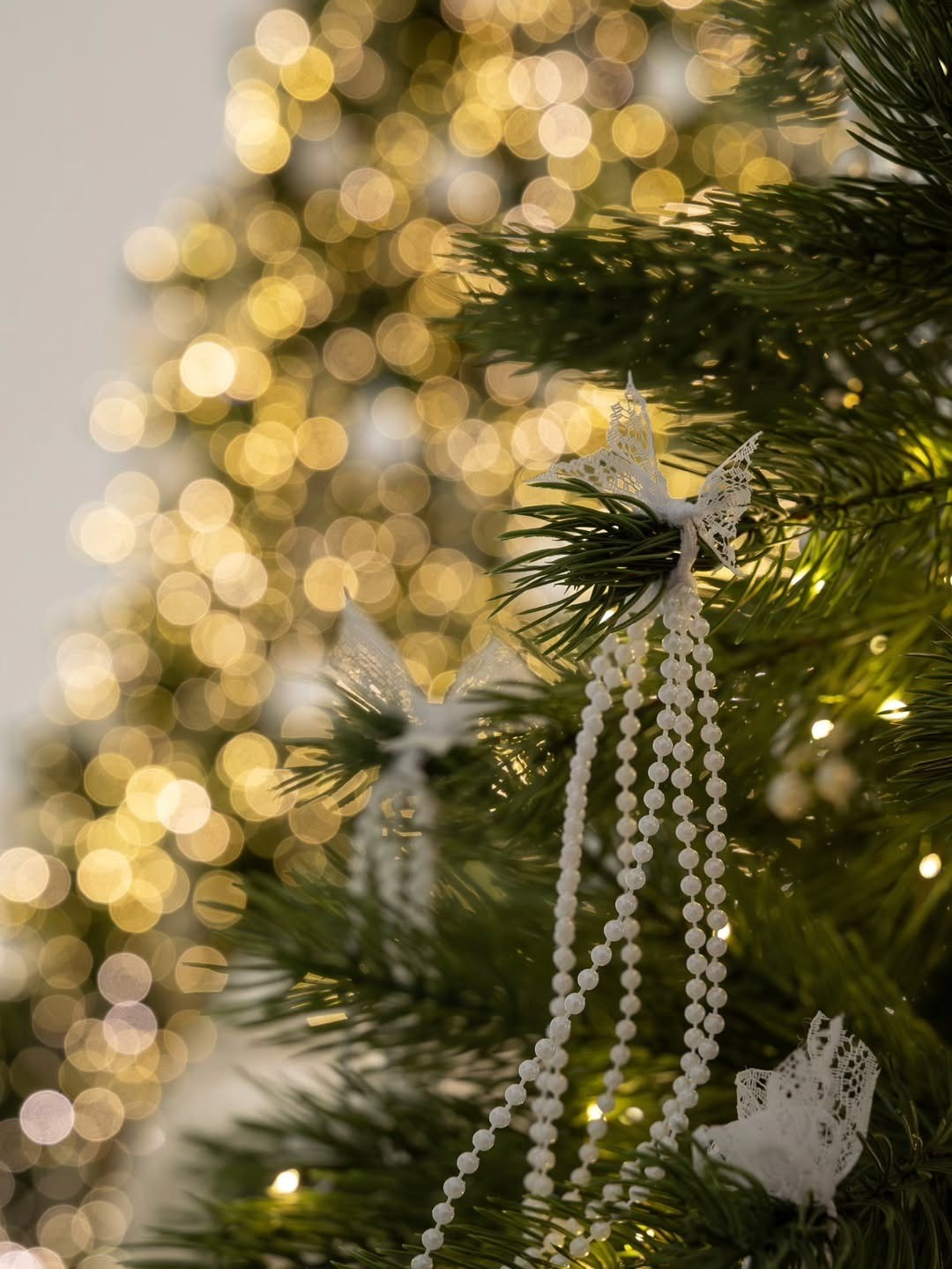 ЗАЛ ЛЬЕЖ Студия URBAN (2 речка). Фотограф для жизни, бизнеса и соц сетей Ирина Нечет, Владивосток