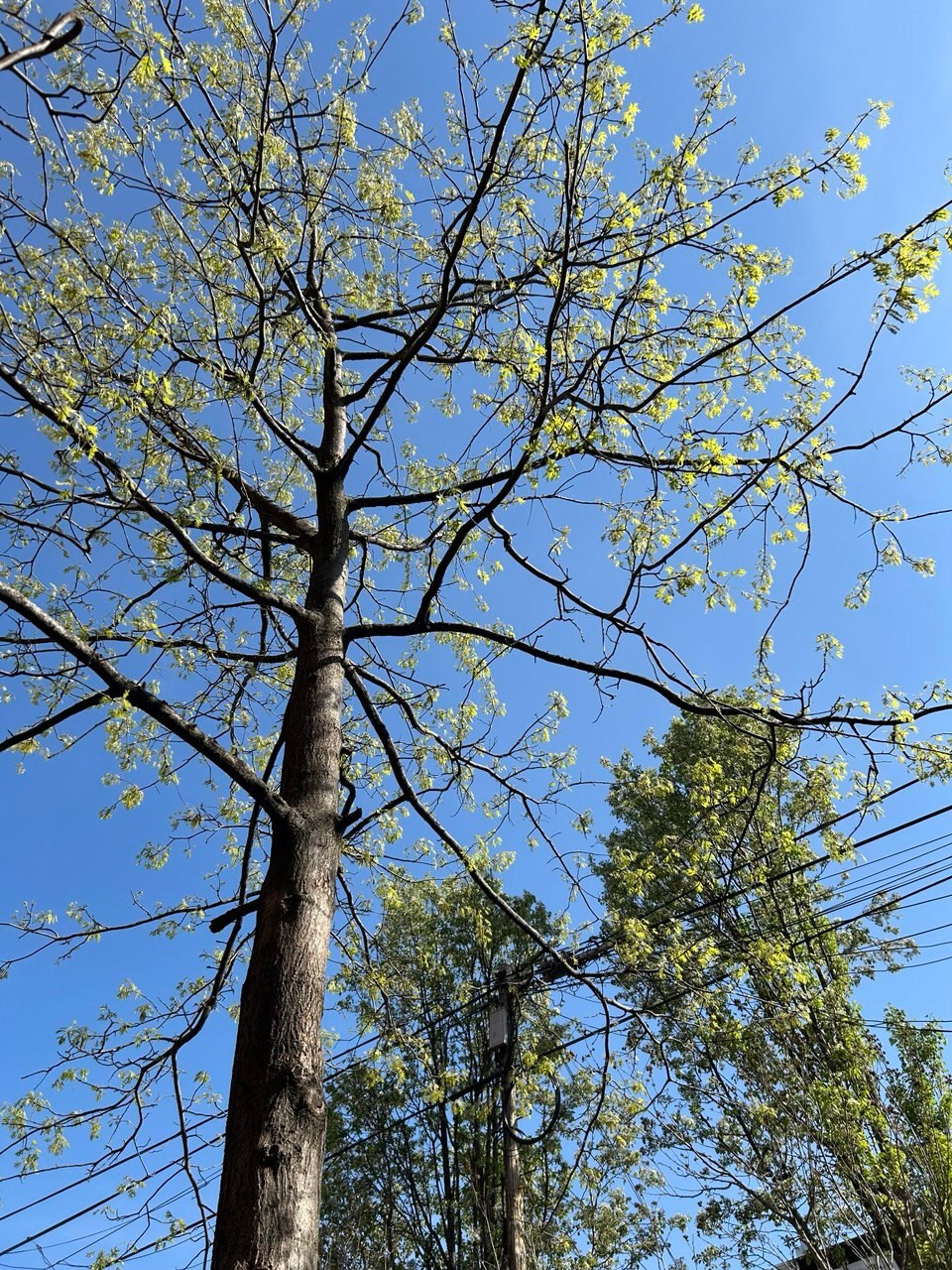 2025-04-24 Анапа: Прогулка. Собор Отрасли