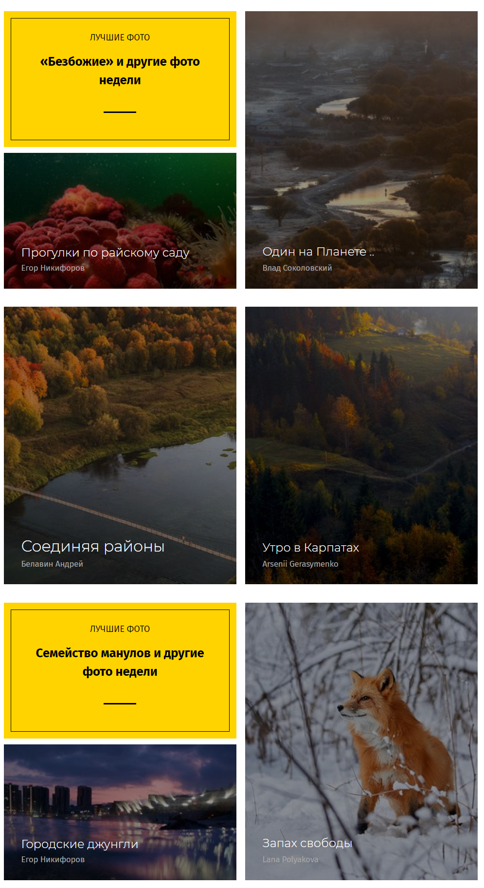 Выбор редакции на сайте National Geographic Россия. ФОТОГРАФ-АНИМАЛИСТ l LANA POLYAKOVA