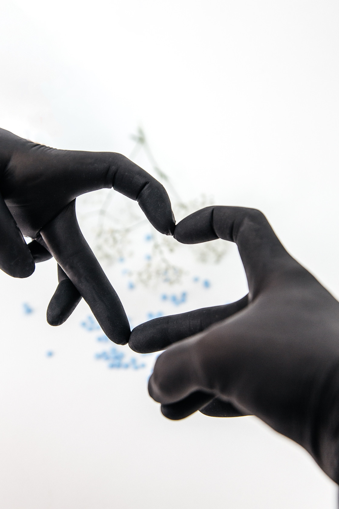 Лисовая шугаринг. Фотограф в Самаре / Олеся Широнина