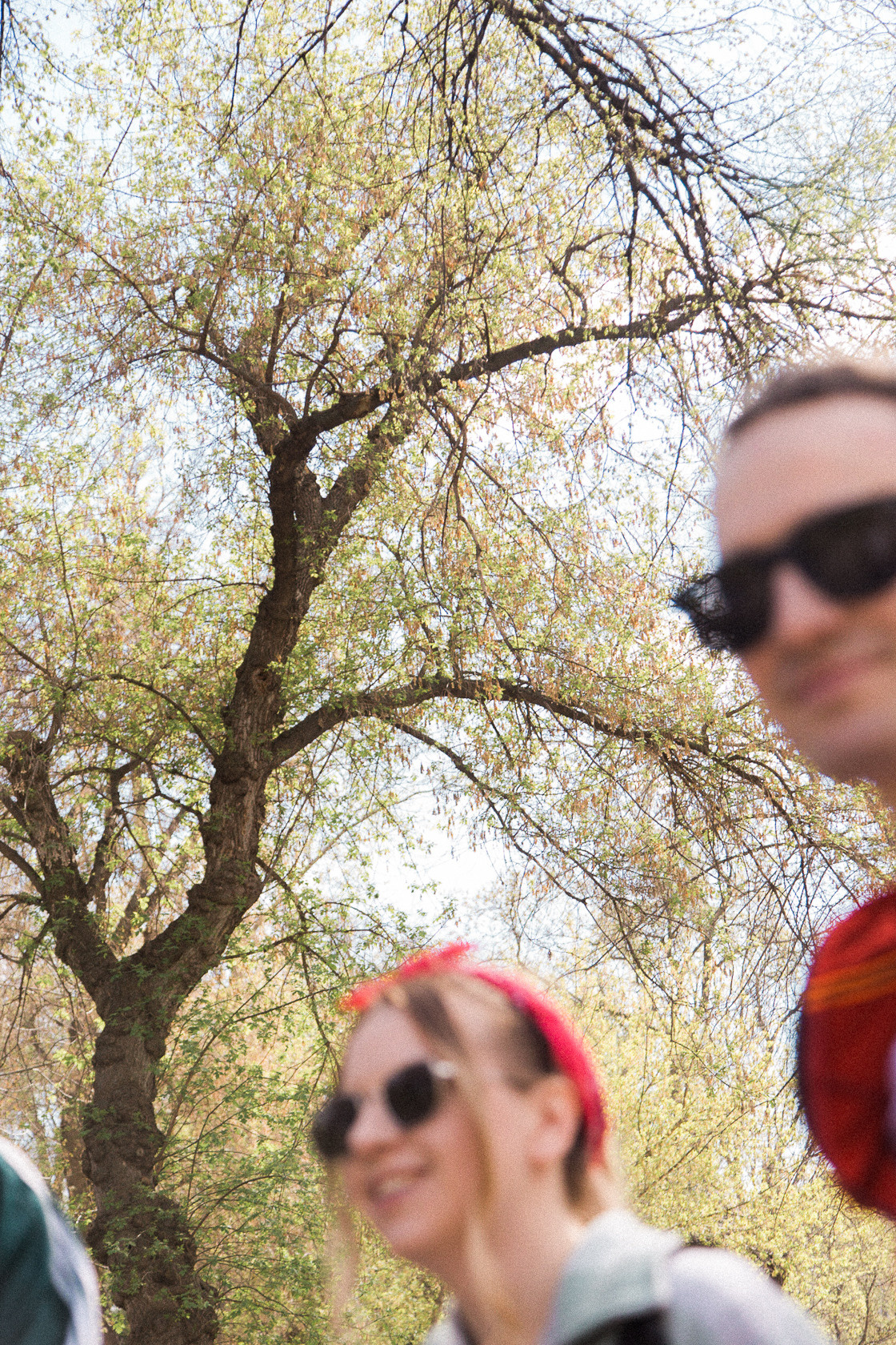 Крюк и компания. Фотограф в Самаре / Олеся Широнина