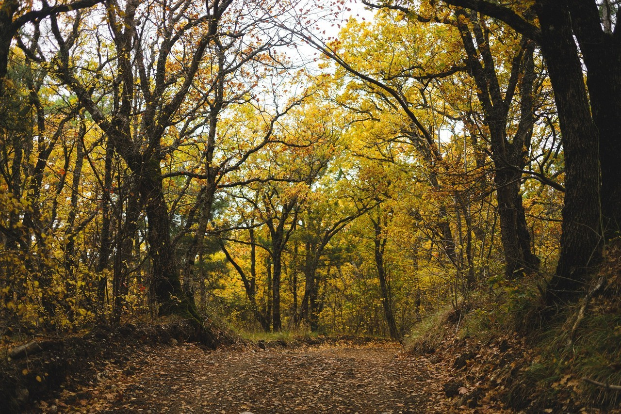Отзывы. Универсальный фотограф в Крыму