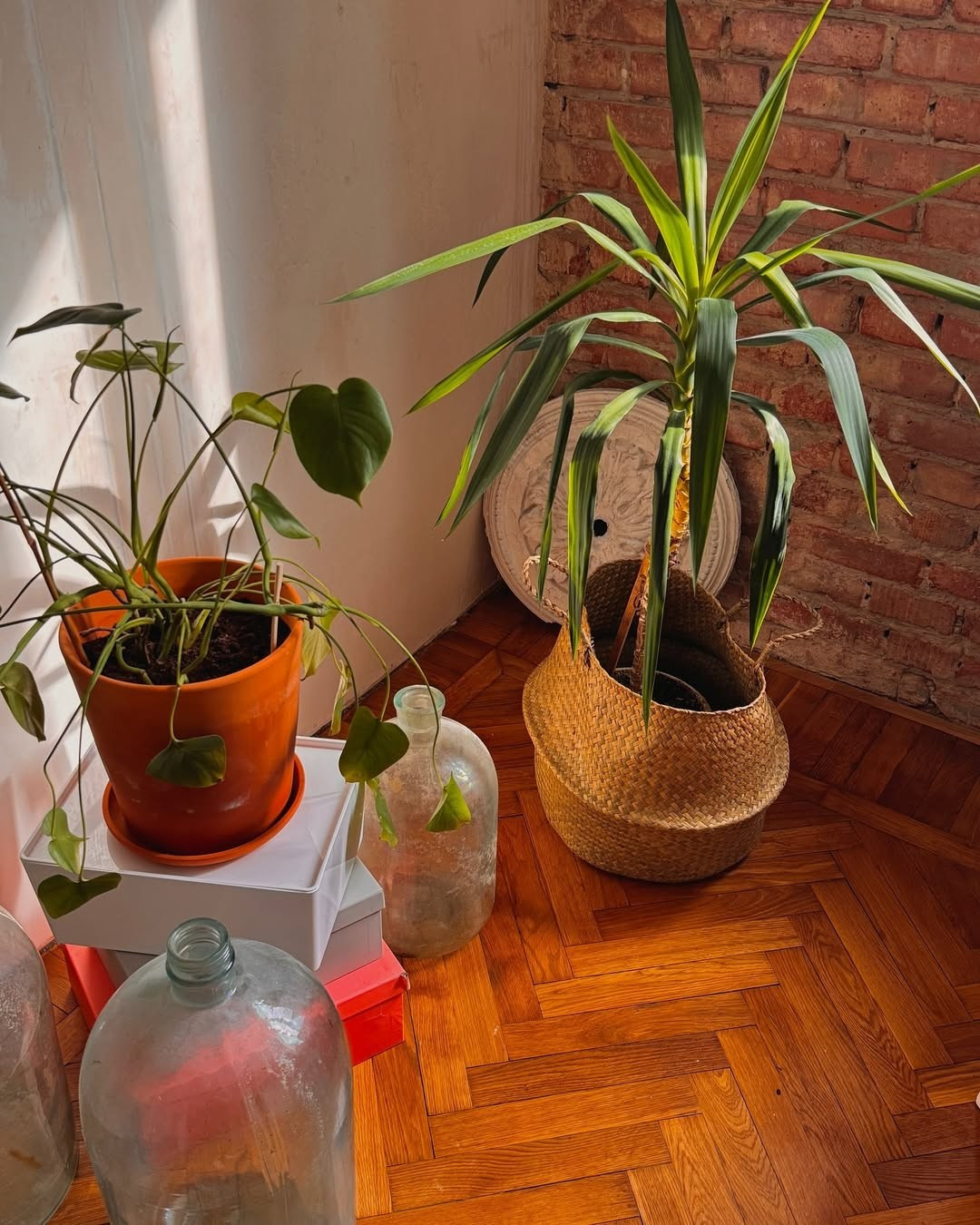 Квартира на Соборном «Soborniy.flat». Свадебный фотограф в Ростове Александра Груздева