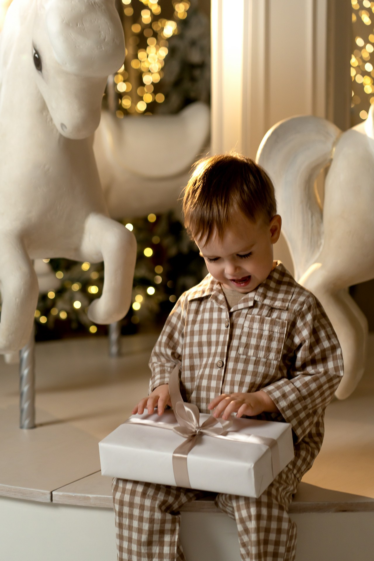 Лешик. Фотограф в Красноярске. Юлия Чаушанская