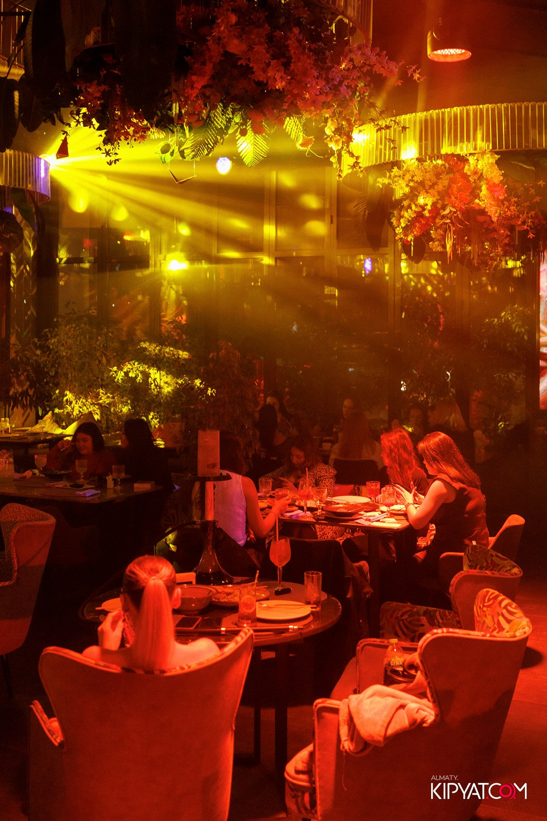 FRIENDS BAR & TERRACE. КИПЯТКОМ АЛМАТЫ! Фотосъемка мероприятий в Алматы