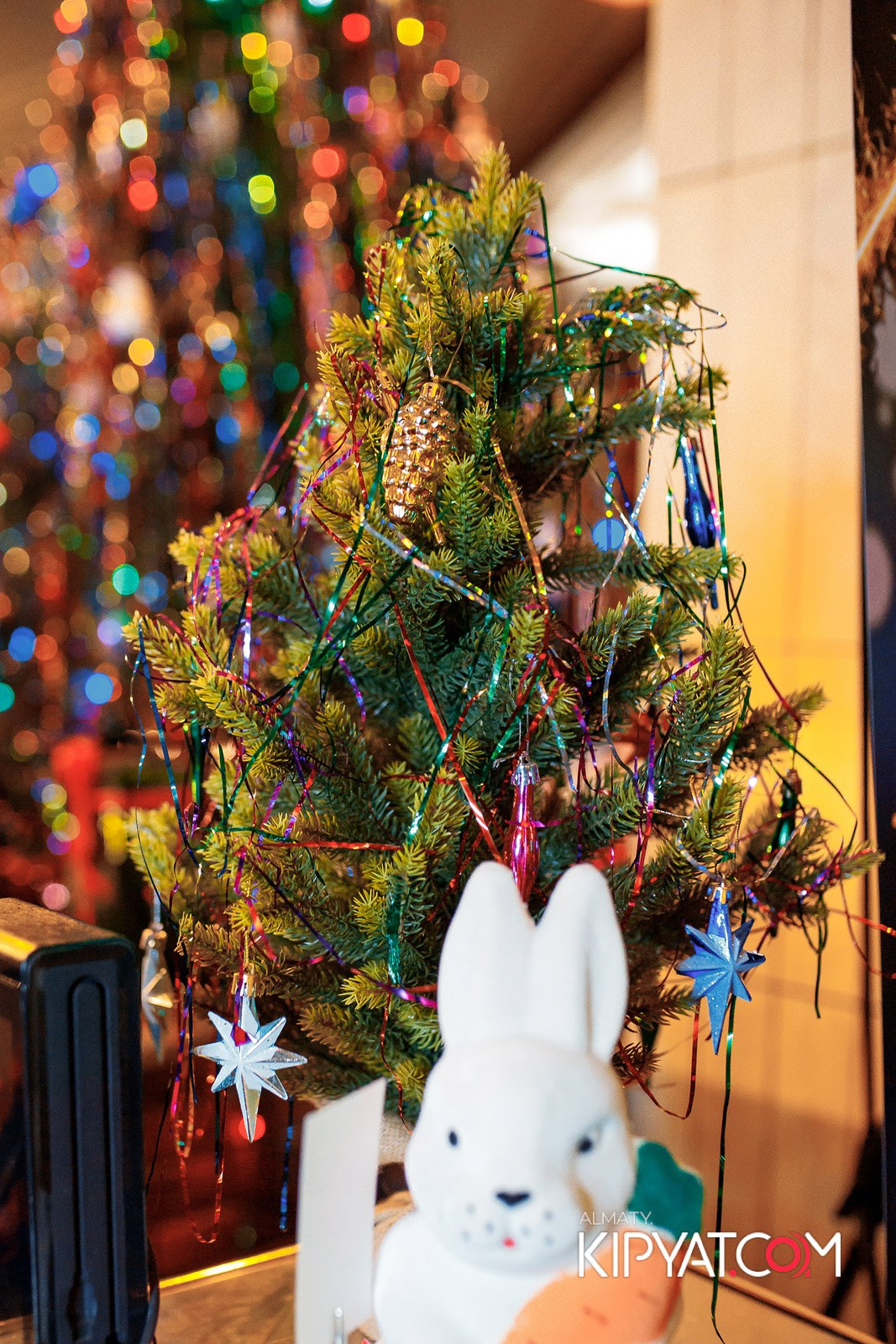 ЖИГУЛИ БАР. КИПЯТКОМ АЛМАТЫ!