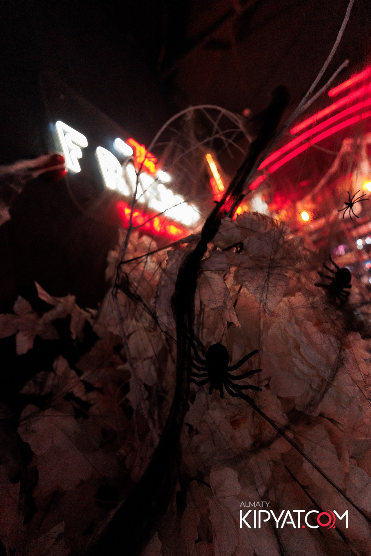 FRIENDS BAR & TERRACE. КИПЯТКОМ АЛМАТЫ! Фотосъемка мероприятий в Алматы