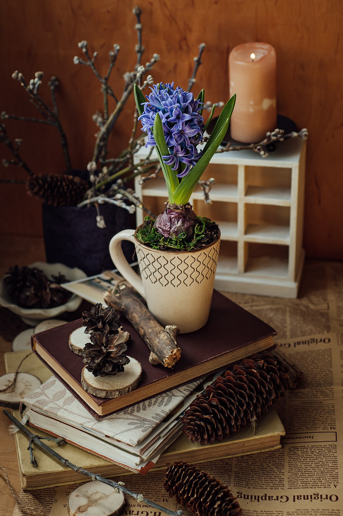 Предметная съемка и натюрморты