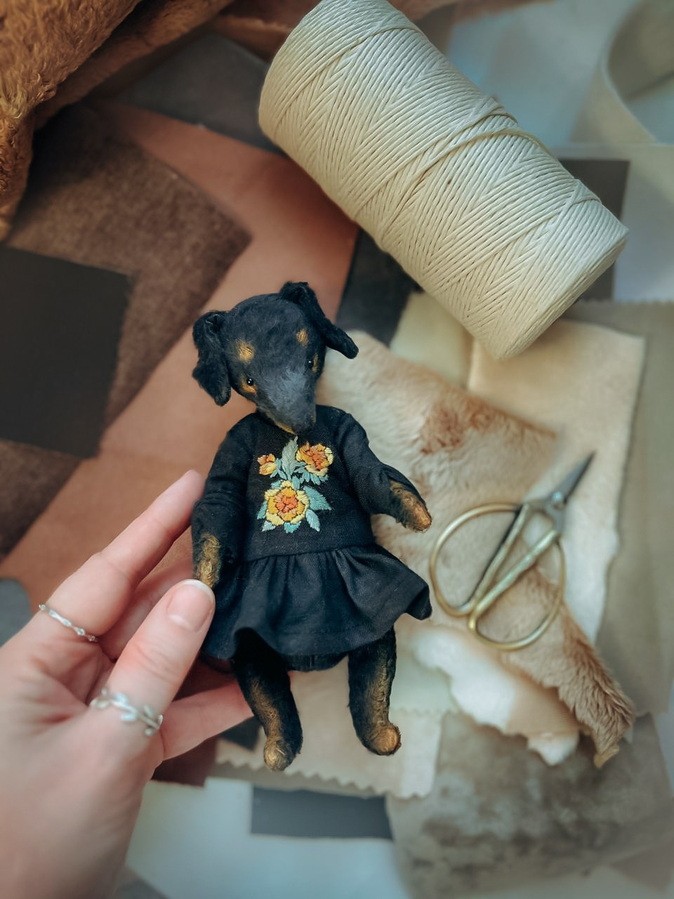 Тедди. Фотограф Ольга Сальманович