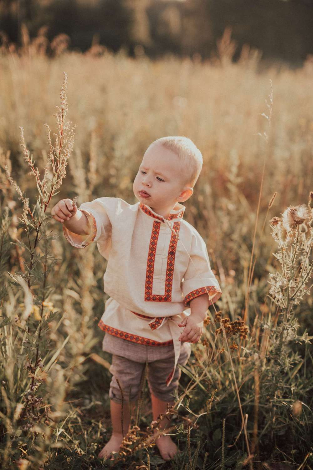Миша в поле. Семейный и детский фотограф в Москве Кузьмина Мария