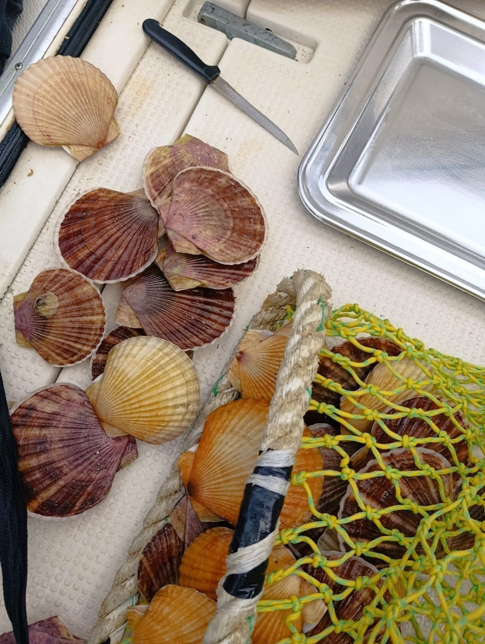 Владивосток 1 | 18-21.09.2025. Галерея Фантим