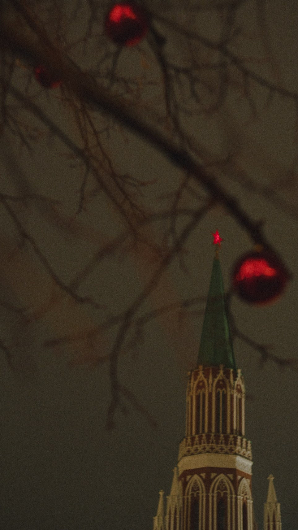 Москва. Ноябрь. 2024. Фотограф в Сочи Елена Лисотина. Фототуры в Сочи