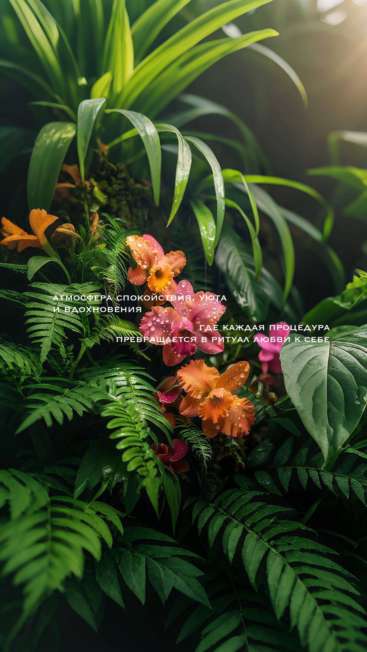 Студия «Религия Красоты», метро Яхромская