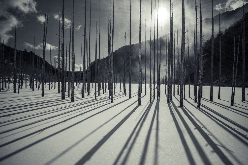 Композиция кадра. Семейный и свадебный фотограф в Майкопе Михаил Мартиросян