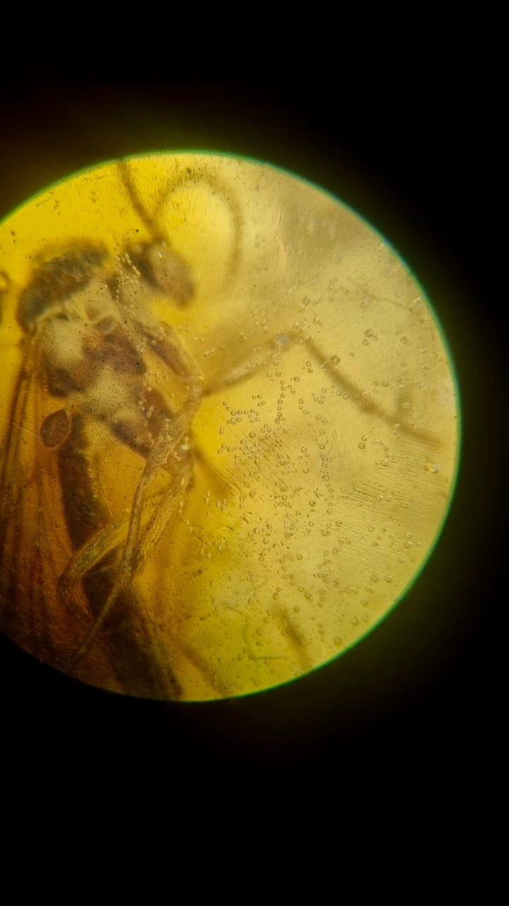 КУРС ПО ФОТО/ВИДЕО СЪЕМКЕ «СЧАСТЬЕ В ПРОСТОМ». Фотография. Визуально-чувственный мир души