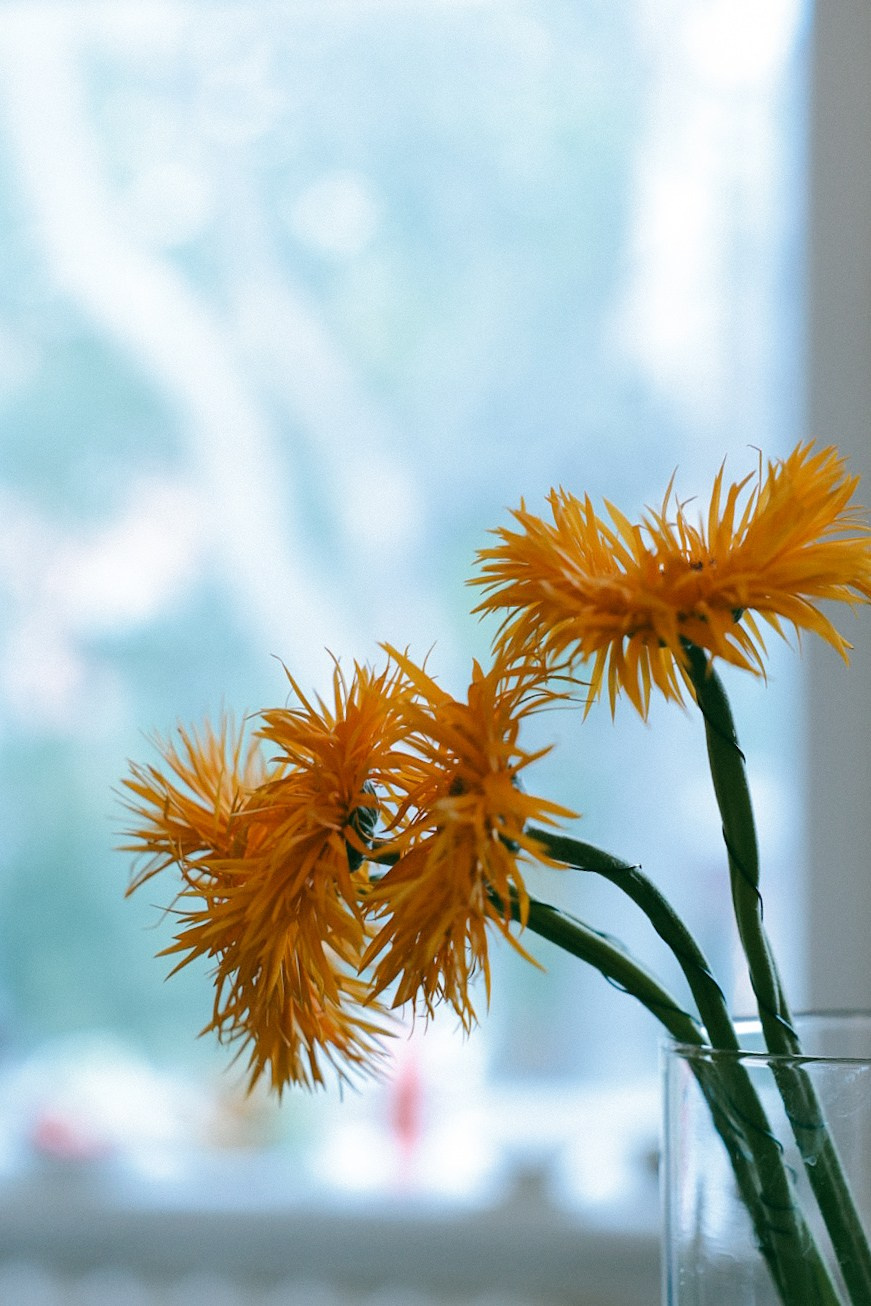 It’s a BOY 💙. Фотограф Нижний Новгород