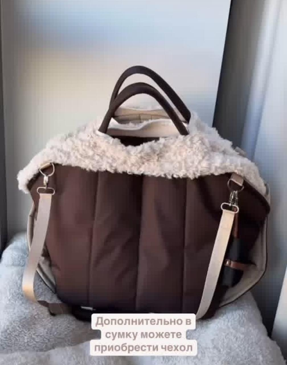 Путешествия. Профессиональный питомник левреток РКФ/FCI ASTI SAPPHIRE 💎 Сочи|Санкт-Петербург