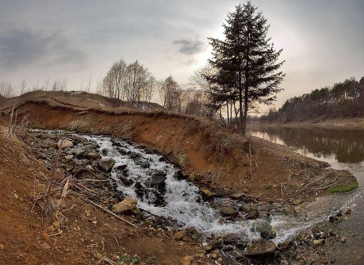 Фотосессия в парке Подмосковья — вековые деревья и романтичные беседки