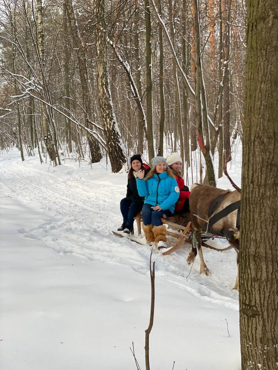 В гости к северным оленям | 02.12.2023. Галерея Фантим
