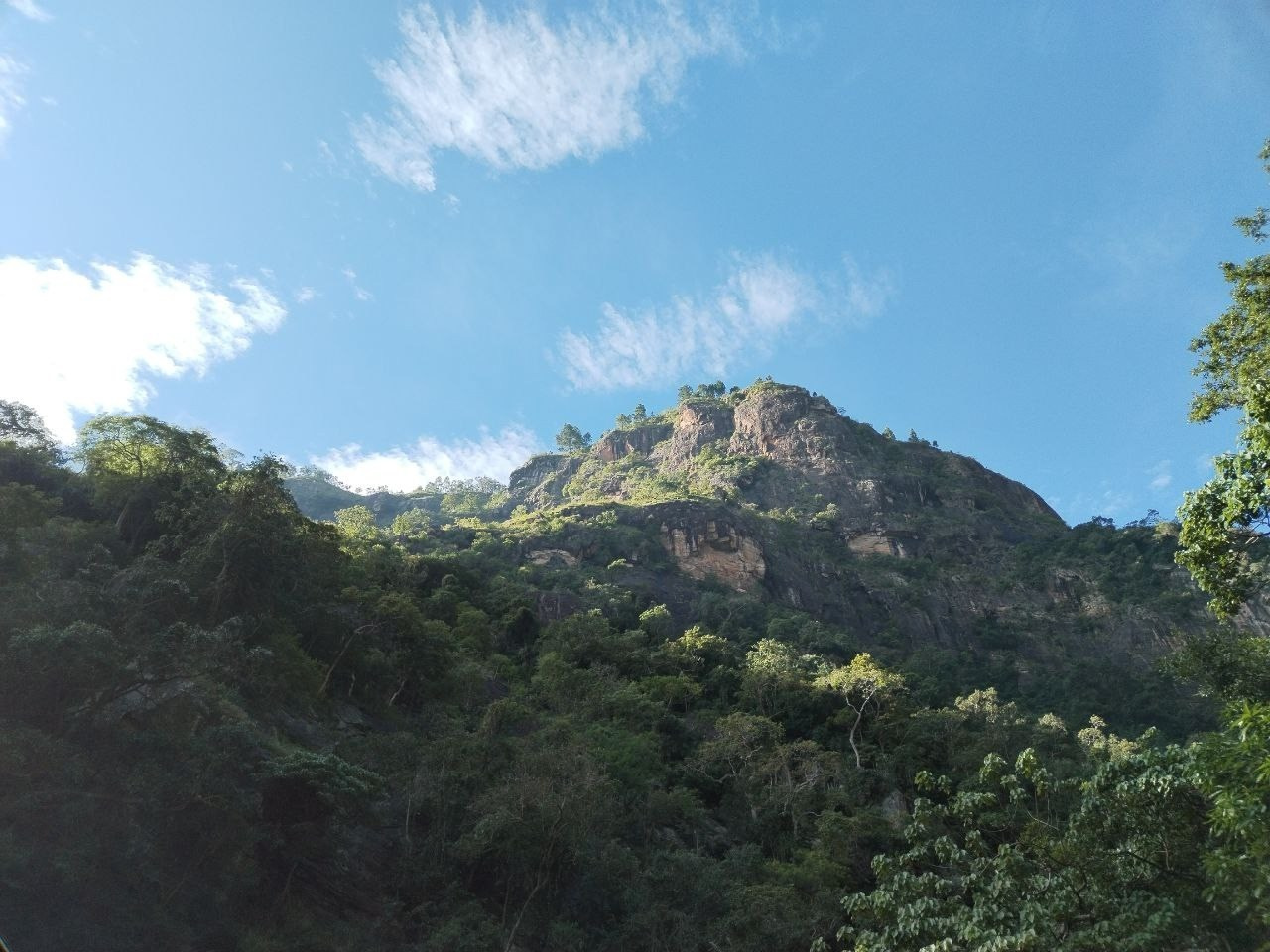 Шри-Ланка | 31.01 — 10.02.2025. Галерея Фантим